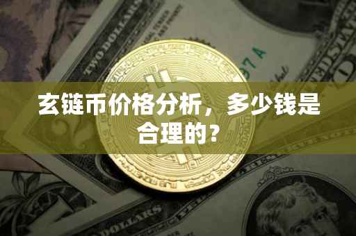 玄链币价格分析，多少钱是合理的？