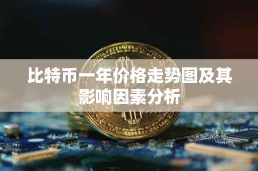 比特币一年价格走势图及其影响因素分析
