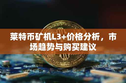 莱特币矿机L3+价格分析，市场趋势与购买建议