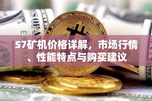 S7矿机价格详解，市场行情、性能特点与购买建议