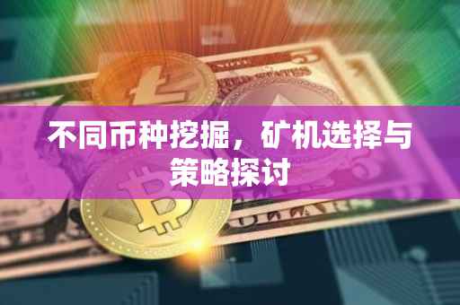 不同币种挖掘，矿机选择与策略探讨
