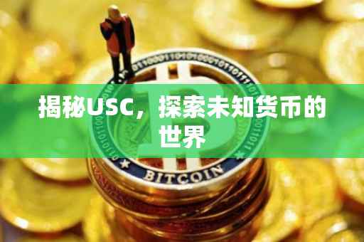 揭秘USC，探索未知货币的世界