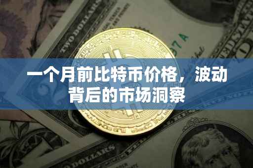 一个月前比特币价格，波动背后的市场洞察