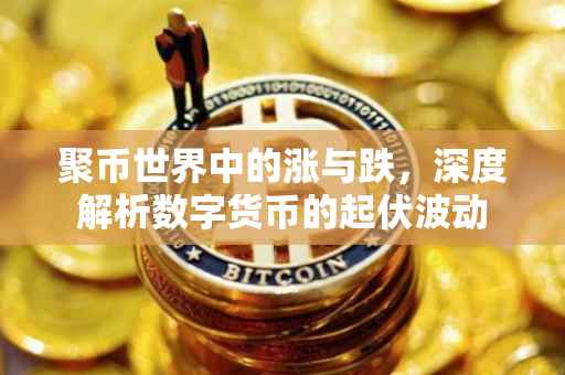 聚币世界中的涨与跌，深度解析数字货币的起伏波动