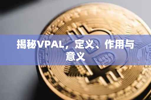 揭秘VPAL，定义、作用与意义