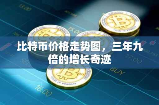 比特币价格走势图，三年九倍的增长奇迹