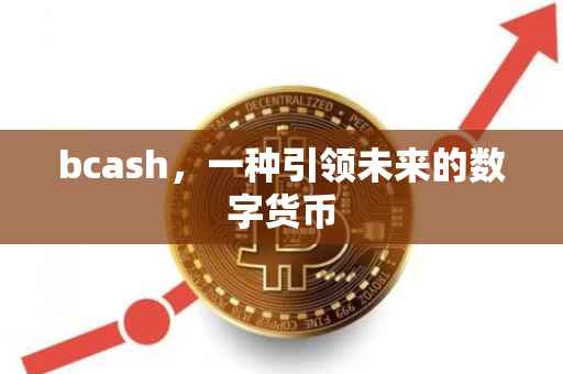 bcash，一种引领未来的数字货币