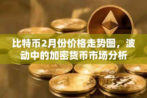 比特币2月份价格走势图，波动中的加密货币市场分析