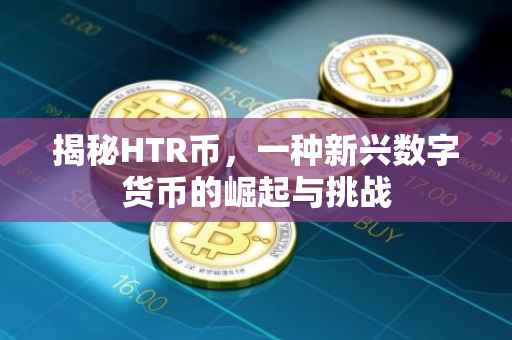 揭秘HTR币，一种新兴数字货币的崛起与挑战