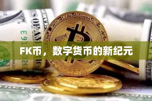 FK币，数字货币的新纪元