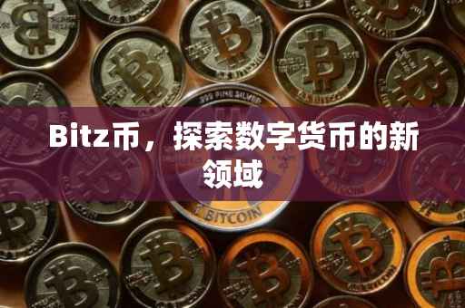 Bitz币，探索数字货币的新领域