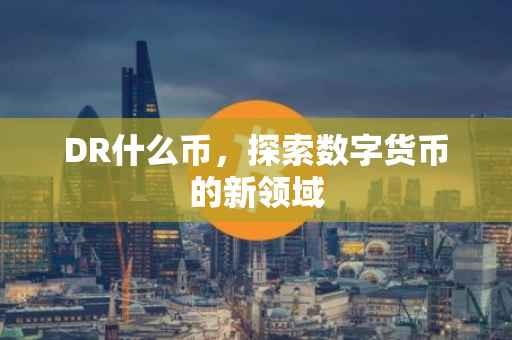 DR什么币，探索数字货币的新领域