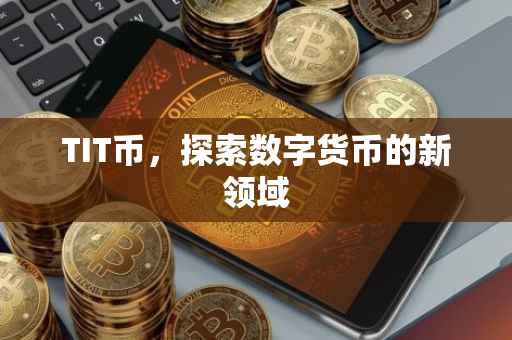 TIT币，探索数字货币的新领域