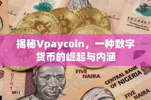 揭秘Vpaycoin，一种数字货币的崛起与内涵