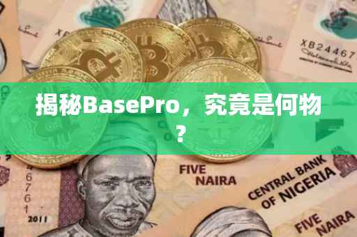 揭秘BasePro，究竟是何物？