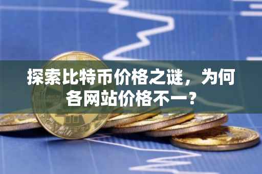 探索比特币价格之谜，为何各网站价格不一？