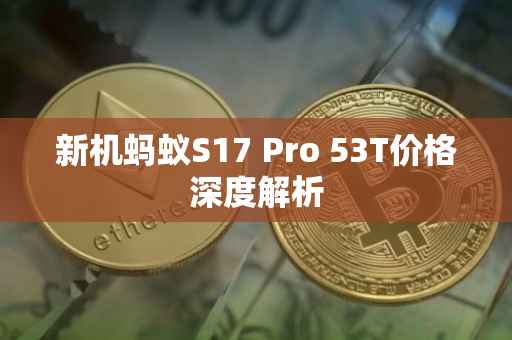 新机蚂蚁S17 Pro 53T价格深度解析