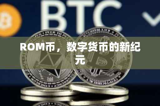 ROM币，数字货币的新纪元