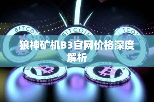 狼神矿机B3官网价格深度解析