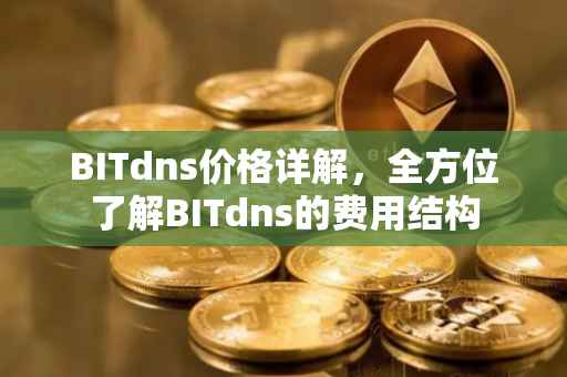 BITdns价格详解，全方位了解BITdns的费用结构