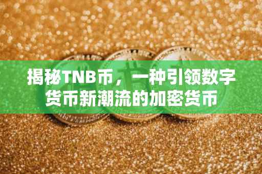 揭秘TNB币，一种引领数字货币新潮流的加密货币