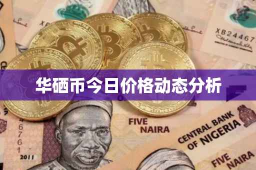 华硒币今日价格动态分析