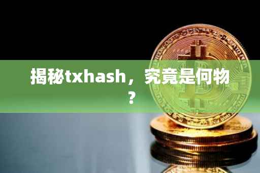 揭秘txhash，究竟是何物？