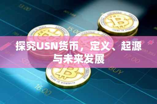 探究USN货币，定义、起源与未来发展