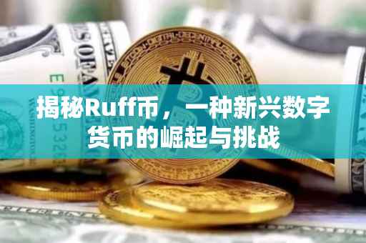 揭秘Ruff币，一种新兴数字货币的崛起与挑战