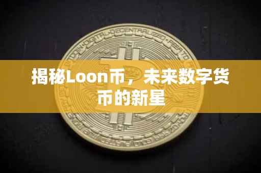 揭秘Loon币，未来数字货币的新星