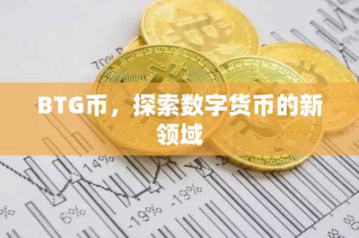 BTG币，探索数字货币的新领域