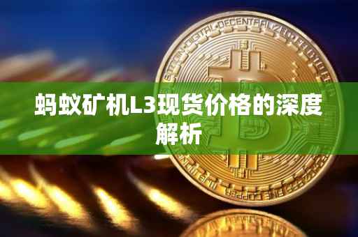 蚂蚁矿机L3现货价格的深度解析