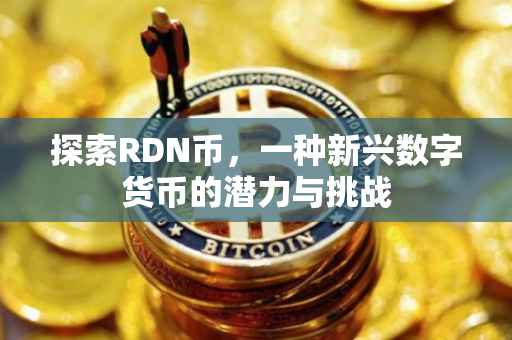 探索RDN币，一种新兴数字货币的潜力与挑战
