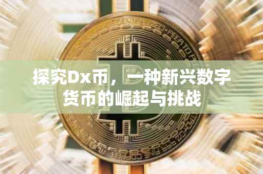 探究Dx币，一种新兴数字货币的崛起与挑战