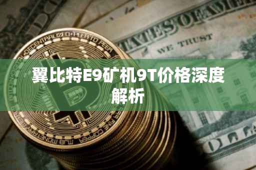 翼比特E9矿机9T价格深度解析