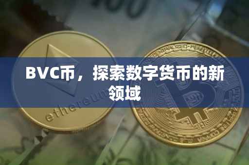 BVC币，探索数字货币的新领域