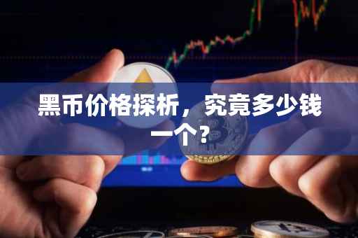 黑币价格探析，究竟多少钱一个？