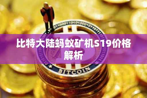 比特大陆蚂蚁矿机S19价格解析