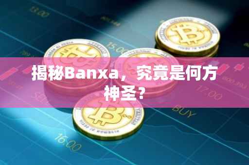 揭秘Banxa，究竟是何方神圣？