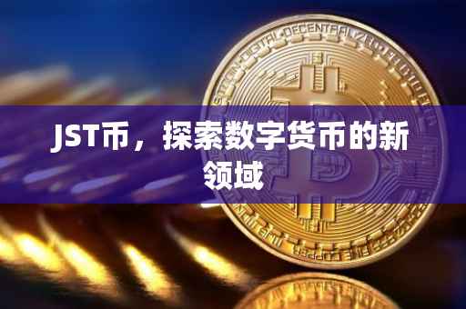JST币，探索数字货币的新领域