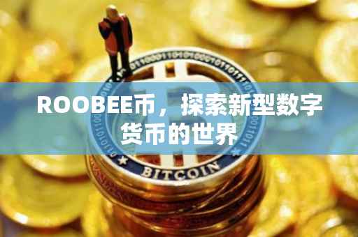 ROOBEE币，探索新型数字货币的世界