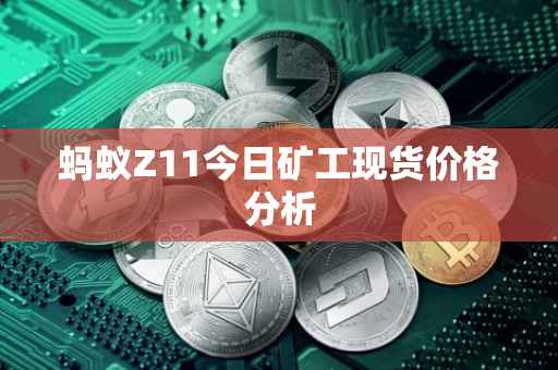 蚂蚁Z11今日矿工现货价格分析