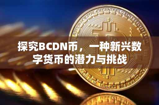 探究BCDN币，一种新兴数字货币的潜力与挑战