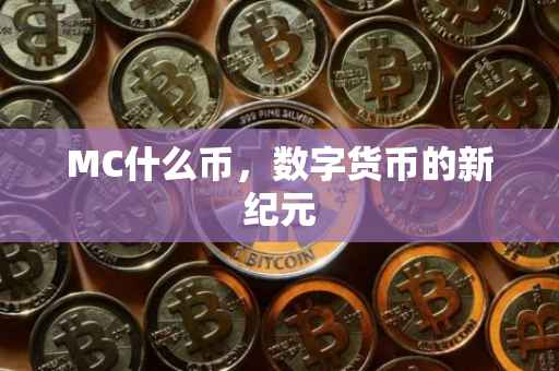MC什么币，数字货币的新纪元