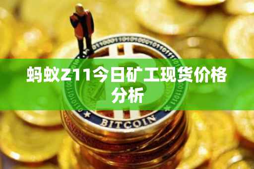 蚂蚁Z11今日矿工现货价格分析