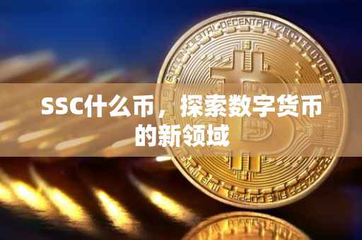 SSC什么币，探索数字货币的新领域
