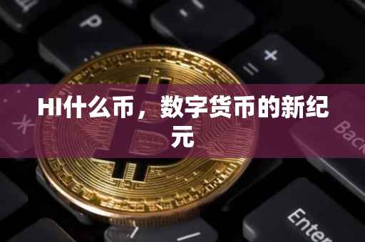 HI什么币，数字货币的新纪元