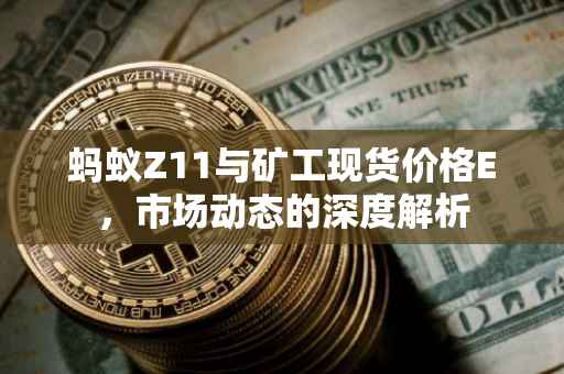 蚂蚁Z11与矿工现货价格E，市场动态的深度解析