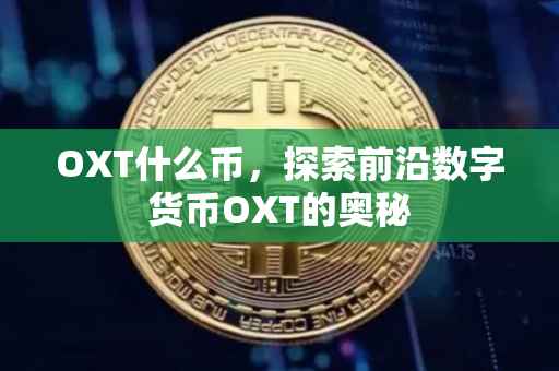 OXT什么币，探索前沿数字货币OXT的奥秘
