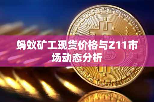 蚂蚁矿工现货价格与Z11市场动态分析